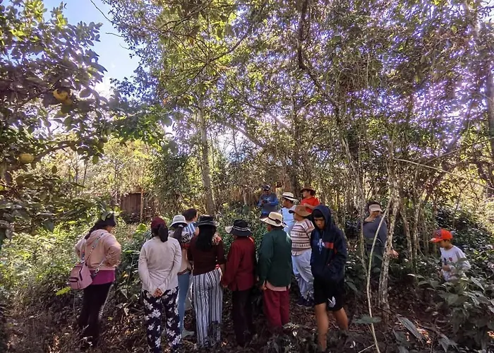La Casa De Mama * Huayopata