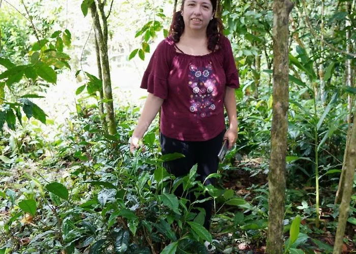 La Casa De Mama *